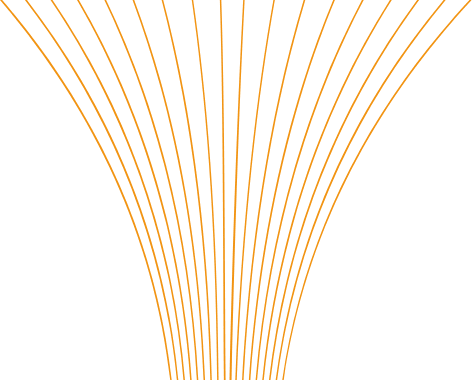 lines